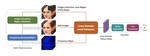 Cross-Domain Local Characteristic Enhanced Deepfake Video Detection