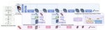Exploiting Complementary Dynamic Incoherence for DeepFake Video Detection